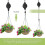 3 PCS Retractable Pulley Hook Hanging Pull Down Hanger Garden Flower Plant 3