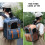 (Orange) Dog Cat Backpack Carrier, Expandable Pet Carrier Backpack for Travel Hiking 3