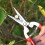 Garden Shears for Plants and Grape Picking Small Size 2