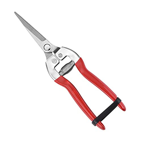 Garden Shears for Plants and Grape Picking Small Size