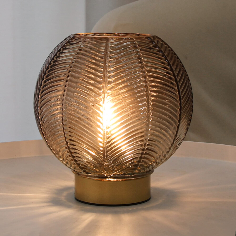 Battery Operated Cordless Led Lamp With Timer For Bedroom Small Decorative Nightlight 798135974746