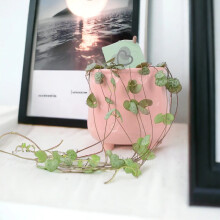 (Ceramic Black) String of Hearts Plant 8.5cm Pot – Ceropegia Woodii Indoor Trailing Houseplant