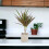 (No Container) Dracaena Marginata Dragon Tree - 12cm Tropical Houseplant 8