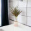 (No Container) Dracaena Marginata Dragon Tree - 12cm Tropical Houseplant 2
