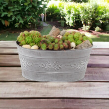 Sempervivum Leafy Vine Trough Planter – Hardy Succulent in Decorative Metal Trough