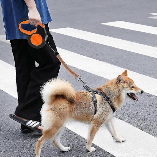 Retractable Dog Lead Extendable Leash Reflective Strong Tape with Non-slip Handle 2