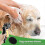 Dog Shower Shower Dog Shower Head 4