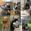 Breathable Basket Muzzles for Large Dogs,size:28-31CM 4