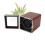 Single Watch Winder with 4 Modes LED Light & Type C Adapter 13