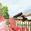 Living And Home Cordless Electric Handheld Pressure Washer Cleaner 1