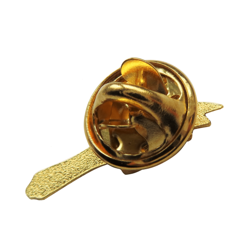 Wales Welsh Leek St David's Day Pin Badge 1