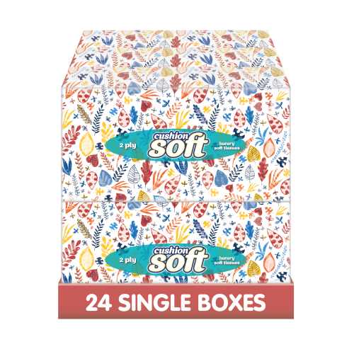 (Regular) Facial Tissues 2-Ply Cushion Soft 24 Pk 100 Sheets 2