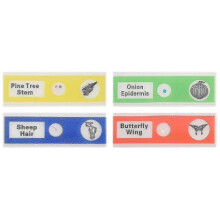 48pcs Kids Plastic Prepared Microscope Slides Of Animals Insects Plants Flowers Sample Specimens Fo