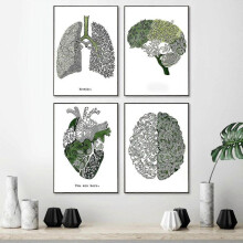 (70x90cmx4) Anatomy And Plant Art Poster Anatomy Heart Brain Human Lung Canvas Painting