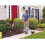 20V MAX String Trimmer/Edger Kit, 10Inch (LST201) 2