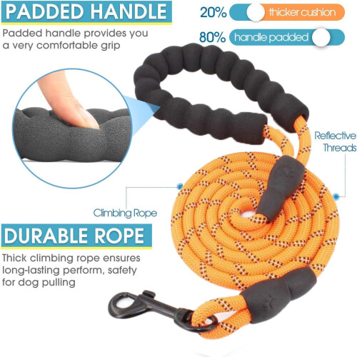3 Dog Leash No Tangle, Multiple Dog Lead Shock Absorbing Bungee with Padded Handle 2