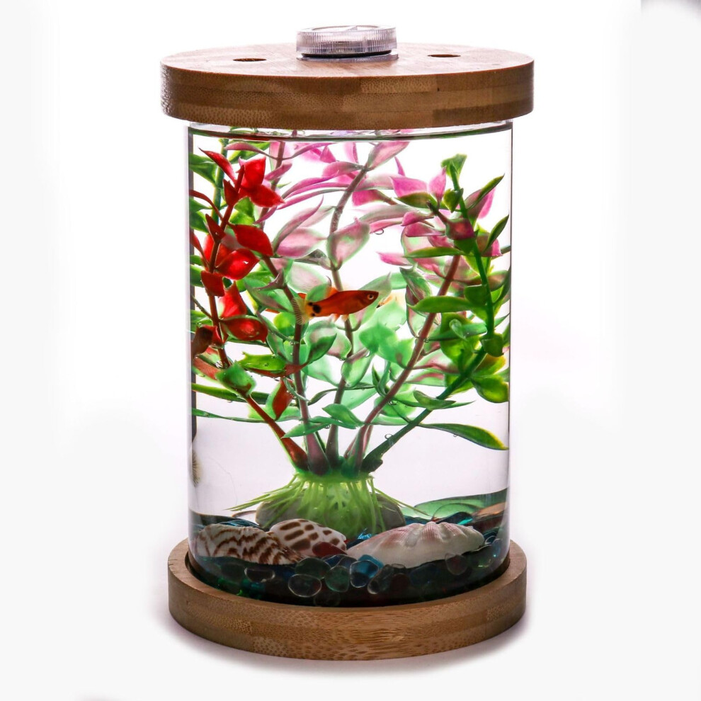 Aquarium Starter Kits, Small Betta Fish Tank, Aquarium Tank Kit with LED Lighting