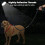 Long Dog Leash 20FT: Nylon Rope Leashes for Dogs Training with Reflective Threads 5