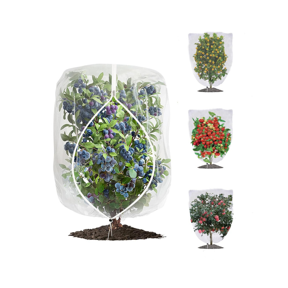 4 Pack Fruit Tree Netting with Zipper  Drawstring, 3.9 x 5.9 Ft Reusable-image-OPC-PHYJDYN-NEW