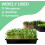 HeavyDuty Extra Thick Seed Starting Trays 5 Pack, Reusable Microgreens Growing Trays 3