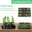 HeavyDuty Extra Thick Seed Starting Trays 5 Pack, Reusable Microgreens Growing Trays 2