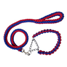 Nylon Braided Rope Strong 4 FT Dog Leash and Training Collar for Small to Large Dogs