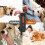 Barks No More Dog Training Device, Ultrasonic Dog Barking Control Device 3