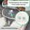 Ingenuity INGENUITY -Parker- Transat bébé pliable massage ventre - Position fixe ou à bascule, vibrations, cadeau bébé 4