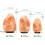 Myga 1-2kg Himalayan Natural Salt Lamp 6