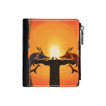 (Avatar The Last Airbender Dance Of The Dragons_5382) Men's Women PU Leather Wallets Compact Bifold with Zipper & Multiple Card Coins Slots Black Stylish Durable Graphic Design Print for Girl Boys