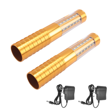2 Stück LED-Blitzlicht-Flaschenservice, wiederverwendbar, Champagner, Handbrause, Gold, US-Stecker