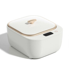Ultrasonic Cleaner for Dentures, Professional Ultrasonic Cleaner Machine for All Dental, Retainer