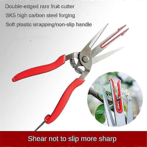 Double Mouth Pruning Tools Carbon Steel Forged Fruit Tree Scissors Eas 1