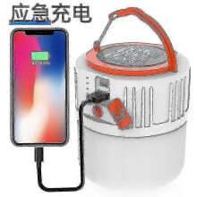 New Led Solar Charging Lamp Portable Energy-saving Lamp Household Courtyard Lamp Charging Treasure P
