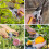 High-Efficiency Garden Pruning Shears - 3x Cutting Power for Yard Work 3