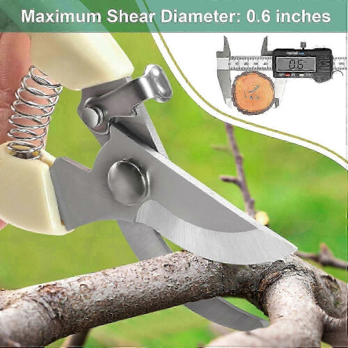 Premium Anvil Pruning Shears - Sharp Steel Garden Scissors for Bushes 2