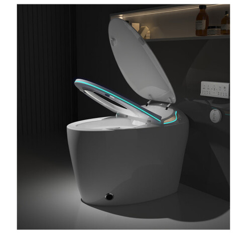 TruClean Aroma Japanese Smart Toilet 2