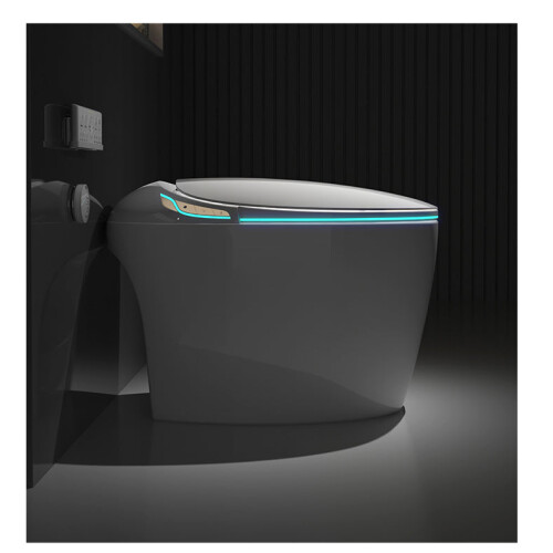 TruClean Aroma Japanese Smart Toilet 1