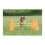 Trixie Trixie Dog Agility Obstacles, set 3 pcs.,orange, yellow 2