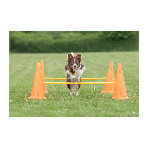 Trixie Trixie Dog Agility Obstacles, set 3 pcs.,orange, yellow 1