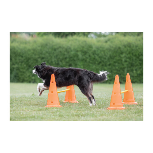Trixie Trixie Dog Agility Obstacles, set 3 pcs.,orange, yellow 2