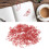 100 Stück rote Paprika-Form-Clips, transparente Box 13