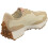 New Balance (37.5) New Balance Damen 327 Sneaker in Elfenbeinwei? 2