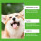 Dog Antibiotics Drops Support Natural for PET 8