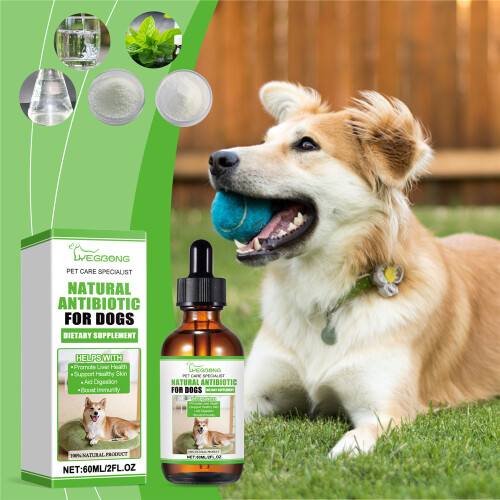 Dog Antibiotics Drops Support Natural for PET 1