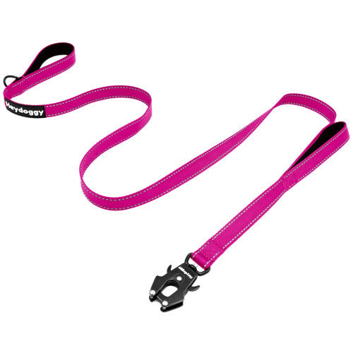 Strong Dog Leash  5ft Reflective Nylon Training Leash with Soft Padded Double Handle