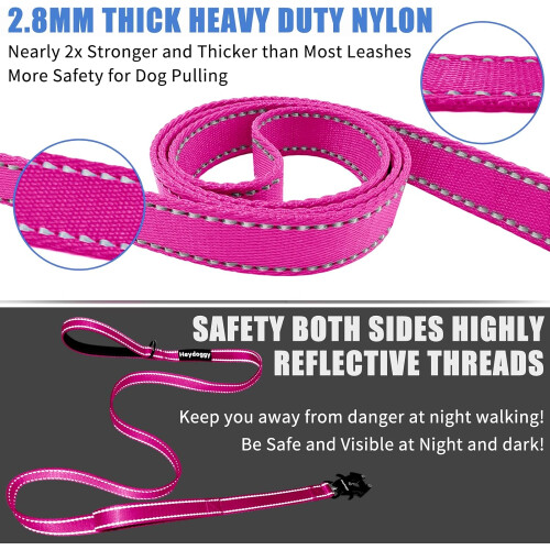 Strong Dog Leash  5ft Reflective Nylon Training Leash with Soft Padded Double Handle 2