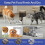 24-Pack for Feeder Desiccant Bags for Dry Food Storage 3