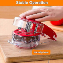 Professional Cherry Pitter & Stone Remover, 6 Cherries at Once, Sturdy ABS Plastic, No Juice Splash, Easy Clean for Pies, Jams