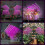 Plant Light, 80 LEDs Grow Light,4 Head Light Full Spectrum Grow Light 5